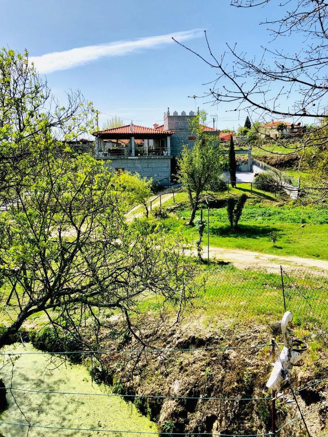 Casa Da Quinta Da Prelada Simao Villa Celorico De Basto Exterior foto